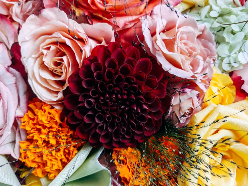 The Language of Flowers: What Your Bouquet Says